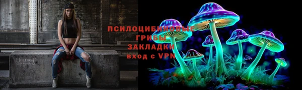 прущая мука Арсеньев